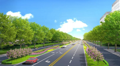 黄瓜的栽培技术，掌握关键步骤，轻松收获果实