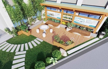 黄瓜的栽培技术，掌握关键步骤，轻松收获果实