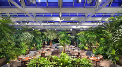 黄瓜的栽培技术，掌握关键步骤，轻松收获果实