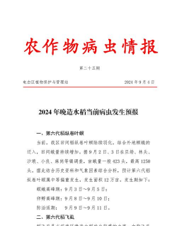 黄瓜的栽培技术，掌握关键步骤，轻松收获果实