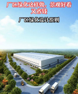 黄瓜的栽培技术，掌握关键步骤，轻松收获果实