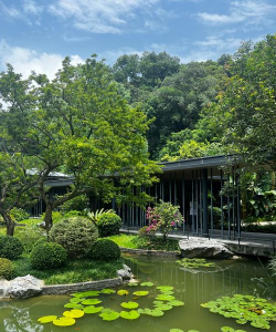 古树圆柏病虫害防治，识别常见问题，掌握有效方法