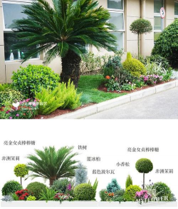 绿化设计培训，提升专业能力，掌握实用技巧