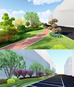 龙花怎么养，掌握关键技巧，轻松养出好状态