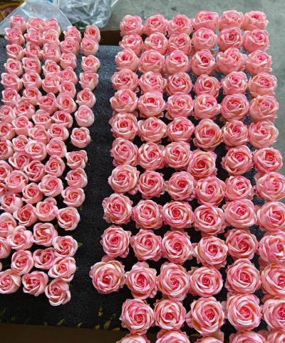 小区景观绿化设计方案，提升居住品质，打造生态社区