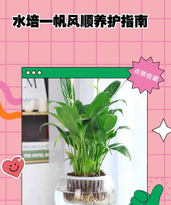 小区景观绿化设计方案，提升居住品质，打造生态社区