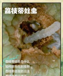 小区景观绿化设计方案，提升居住品质，打造生态社区