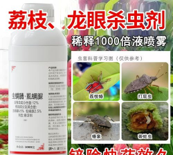 番茄树病毒防治，识别症状，科学应对
