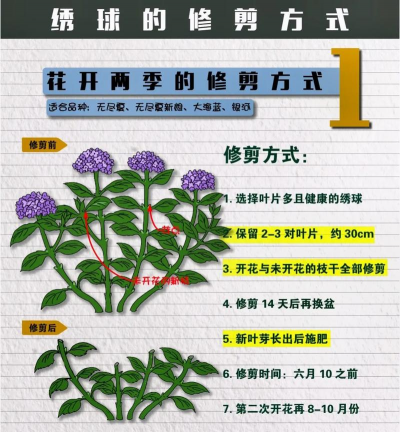 树杆防治，常见问题，实用方法