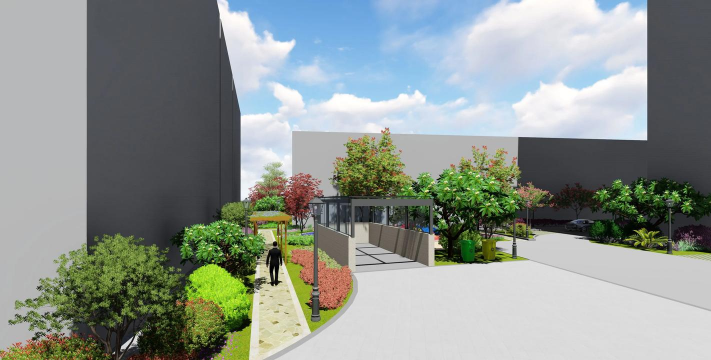 树杆防治，常见问题，实用方法