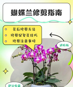 树杆防治，常见问题，实用方法