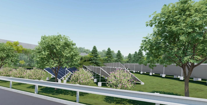 树杆防治，常见问题，实用方法