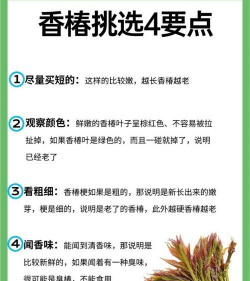 树杆防治，常见问题，实用方法