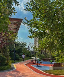 番茄树病毒防治，识别症状，科学应对