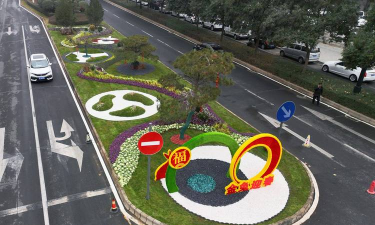 珍道路绿化设计，提升城市形象，改善居民生活