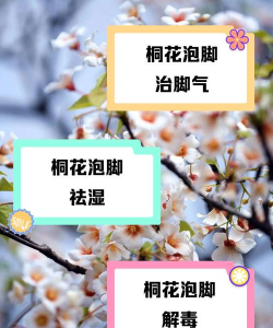 树杆防治，常见问题，实用方法