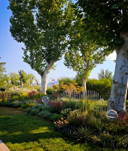 树杆防治，常见问题，实用方法