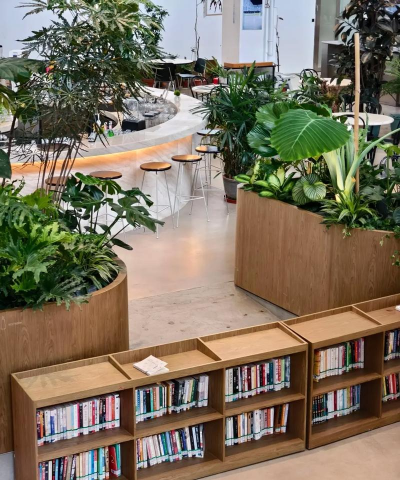 黄瓜的栽培技术，掌握关键步骤，轻松收获果实