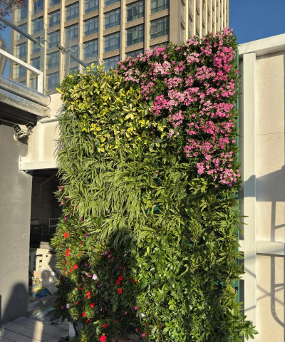 绿化墙设计效果图，打造立体花园，提升空间美感