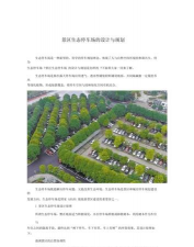 龙花怎么养，掌握关键技巧，轻松养出好状态