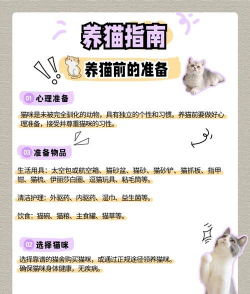 金钱树怎么栽培，掌握关键技巧，轻松养活它