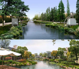 曲树防治，常见问题，实用方法