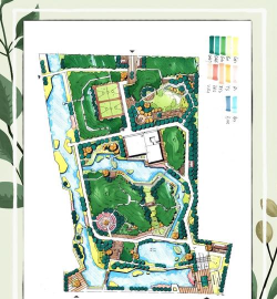 金钱树怎么栽培，掌握关键技巧，轻松养活它