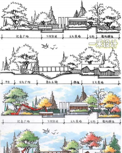 蓝雾花怎么养，掌握关键技巧，轻松打造梦幻花园