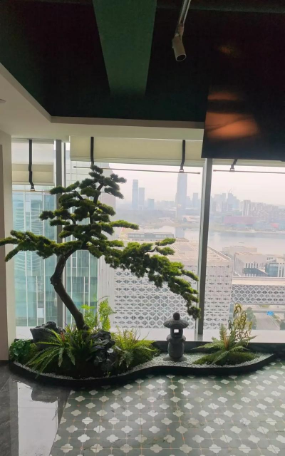 蓝雾花怎么养，掌握关键技巧，轻松打造梦幻花园