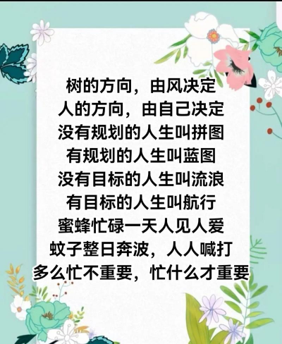 蓝雾花怎么养，掌握关键技巧，轻松打造梦幻花园