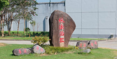 蓝雾花怎么养，掌握关键技巧，轻松打造梦幻花园