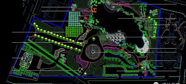 龙花怎么养，掌握关键技巧，轻松养出好状态