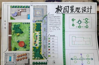 金钱树怎么栽培，掌握关键技巧，轻松养活它