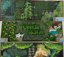 金钱树怎么栽培，掌握关键技巧，轻松养活它