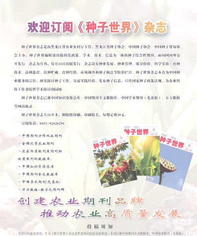 金钱树怎么栽培，掌握关键技巧，轻松养活它