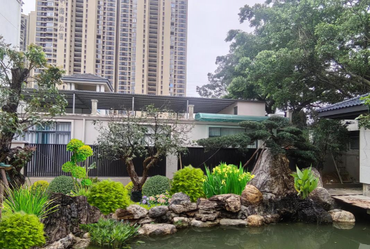 校园景观与绿化设计，提升学习环境，营造自然氛围