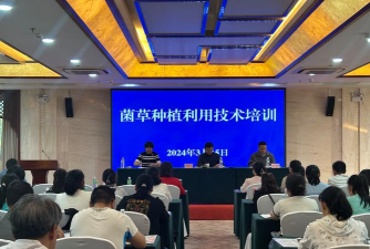 厂区景观绿化设计，提升环境品质，改善员工体验