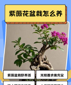 厂区景观绿化设计，提升环境品质，改善员工体验