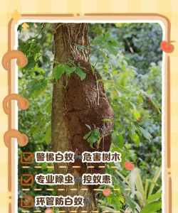 厂区景观绿化设计，提升环境品质，改善员工体验