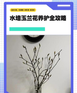 厂区景观绿化设计，提升环境品质，改善员工体验