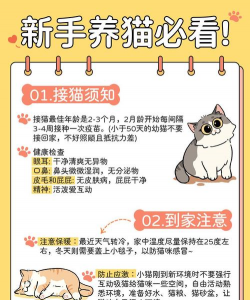 厂区景观绿化设计，提升环境品质，改善员工体验