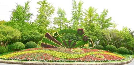 番茄树病毒防治，识别症状，科学应对