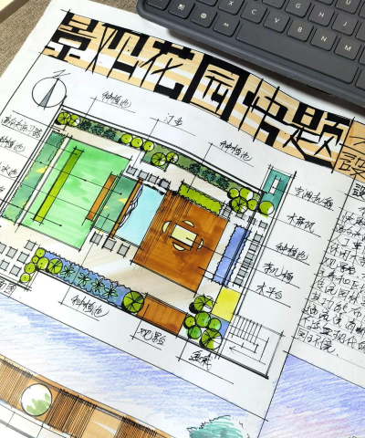 龙花怎么养，掌握关键技巧，轻松养出好状态