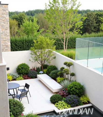 龙花怎么养，掌握关键技巧，轻松养出好状态