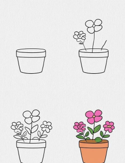 龙花怎么养，掌握关键技巧，轻松养出好状态