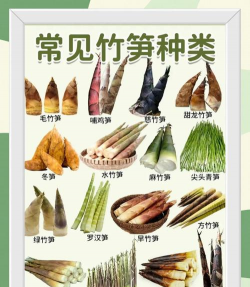 厂区景观绿化设计，提升环境品质，改善员工体验