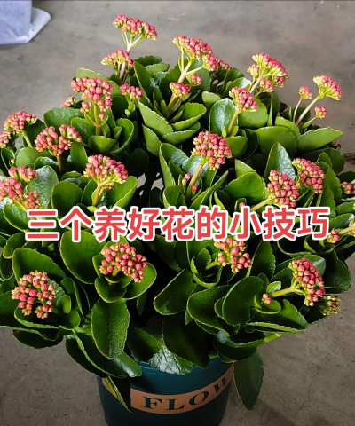 厂区景观绿化设计，提升环境品质，改善员工体验