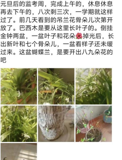 厂区景观绿化设计，提升环境品质，改善员工体验