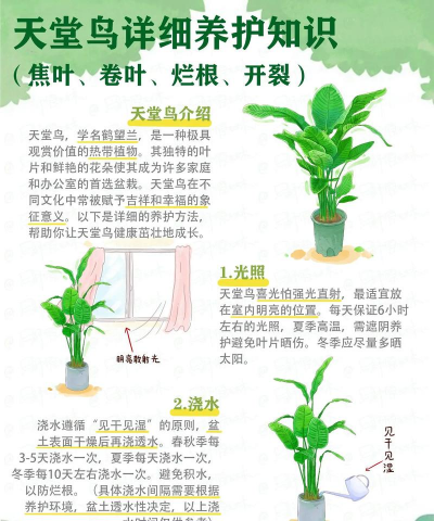 厂区景观绿化设计，提升环境品质，改善员工体验