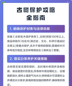 厂区景观绿化设计，提升环境品质，改善员工体验